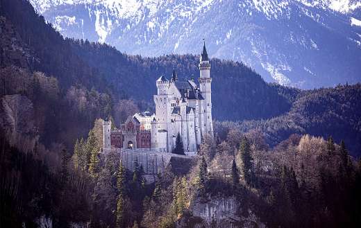 Castle swan stone kristin