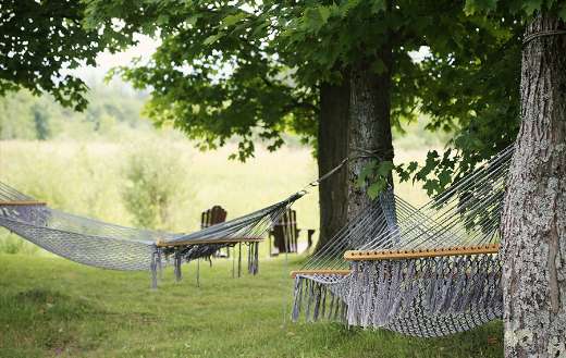 Hammock relaxation trees