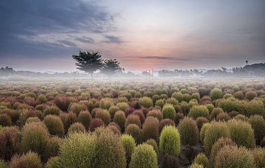Natural landscape puzzle