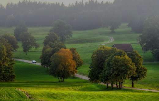 Super green nature landscape