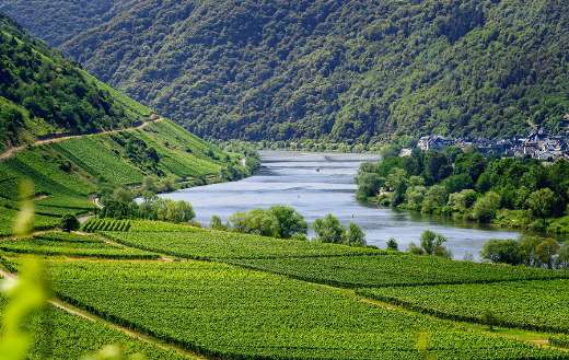 Vineyards moselle puzzle