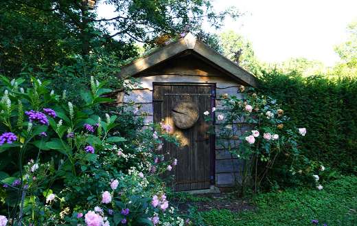 Beautiful green natural garden concept