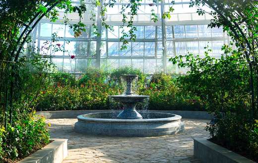 Alley botanical garden and fountain online