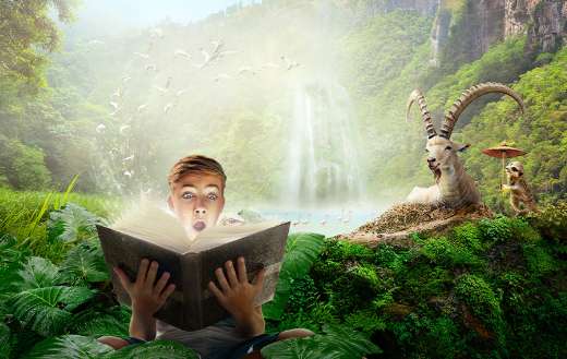 Boy reading wonderful fairy story