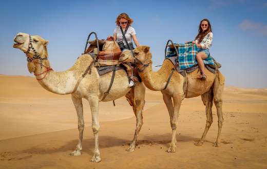 Camel desert tourist puzzle