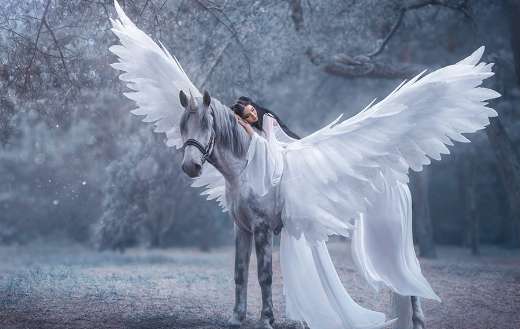 Young elf with unicorn online