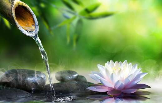 Zen garden beauty puzzle