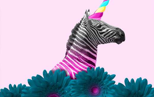 Alternative zebra like unicorn online
