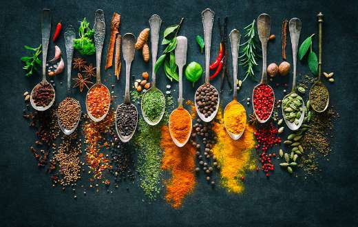 Colourful various herbs spices for cooking