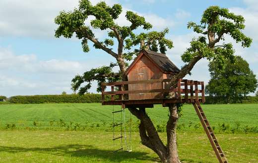 Creative tree house online