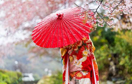 Kyoto Japan cherry blossom and woman red kimono umbrella