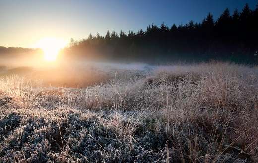 Sunrise light over forest frosted meadow