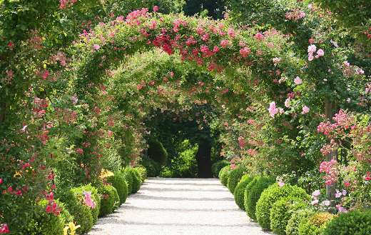 Tunnel rose arrangement style puzzle