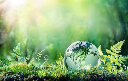 Green globe on moss online