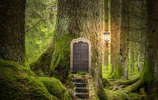 Magic fantasy world puzzle