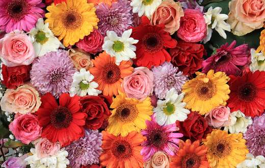 Mixed flower arrangement online