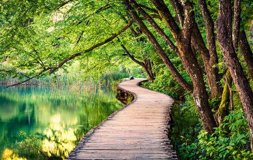 Morning spring scenic plitvice national park Croatia