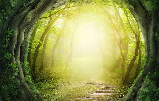 Road in magic dark forest