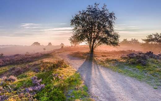 Road way landscape sunrise