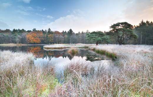 Sunrise over lake and frosted grass