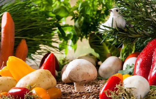 Vegetables variety online