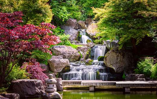 Waterfall long exposure with maple trees
