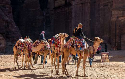 Desert people rides camel animals