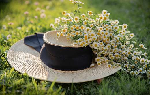 Fashion hat with chamomile flowers puzzle