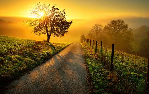 Idyllic rural landscape in golden light