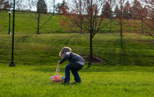 Little boy doing easter egg hunt