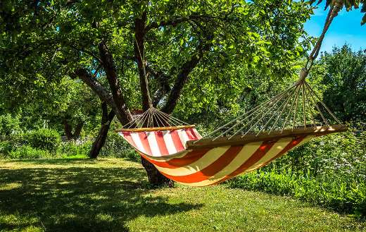 Striped hammock online