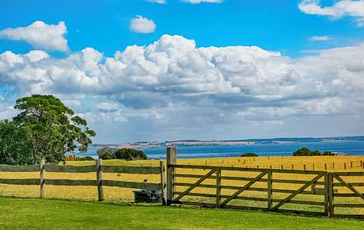 Brown wooden fence across crop field
