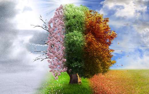 Four seasons beauty puzzle