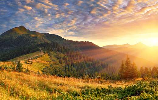 Freshness background puzzle