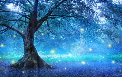 Lonely tree with mist and fireflies