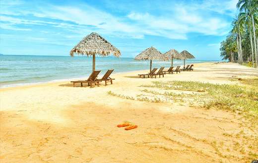Loungers under parasol