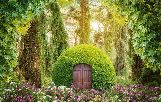 Magical fantasy world green mysterious forest