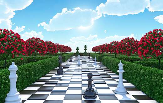 Maze chess garden puzzle