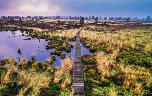 Nature reserve online