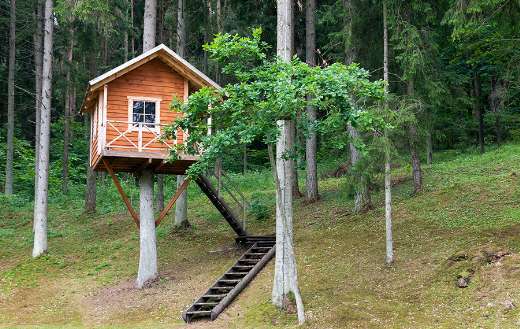Remote wooden tree house forest