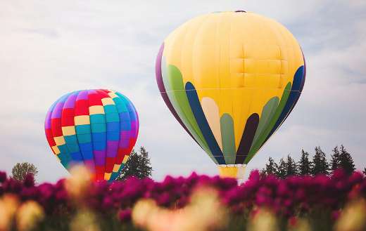 Two assorted color hot air balloon