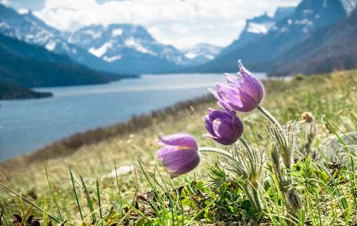 Alpine beautiful background