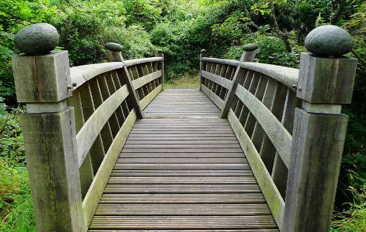Crossing wooden bridge forest nature