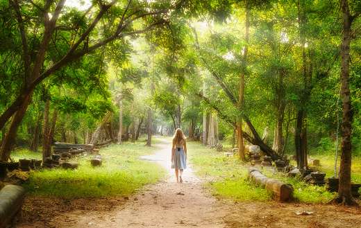 Mysterious path into enchanted forest
