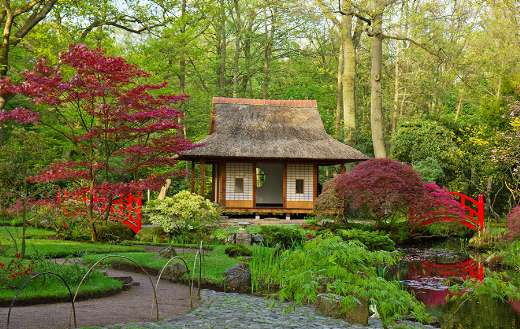 Traditional japanese garden