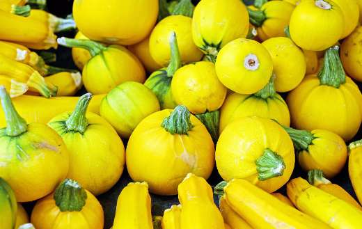 Yellow zucchinis puzzle