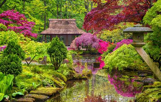 Amazing Japanese garden landscape Netherlands