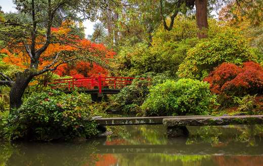Beautiful japanese garden Kubota Seattle