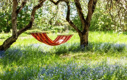 Beautiful landscape with red hammock