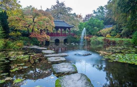 Idyllic autumn landscape with pond and footpath
